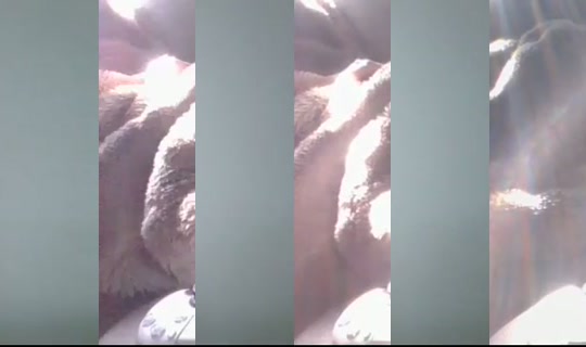Aap123's Stream - Aug 21, 2026, 7:12 AM