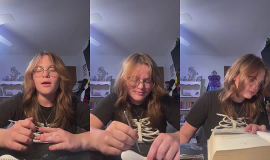 Alyssa_the_original's Stream - Oct 4, 2026, 8:13 PM