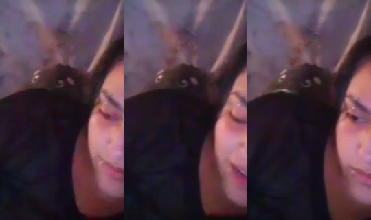 BeeMedicated Recorded on Jul 17, 2026, 12:46 AM