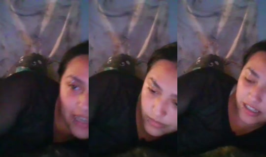 BeeMedicated Recorded on Jul 17, 2026, 12:58 AM