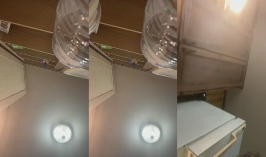 Blossompuff's Stream - Sep 21, 2026, 2:06 AM