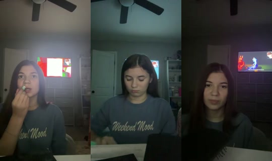 Brylee0123's Stream - Jul 29, 2026, 6:49 AM