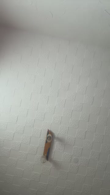 Chiara4526