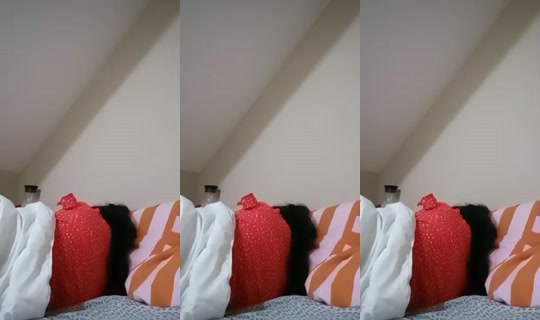 HONEY31's Stream - Jul 24, 2026, 6:53 PM