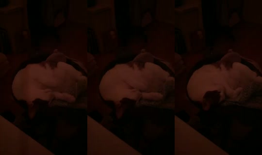 Stream Lia_alexandra - 21 Jul 2026, 19.26