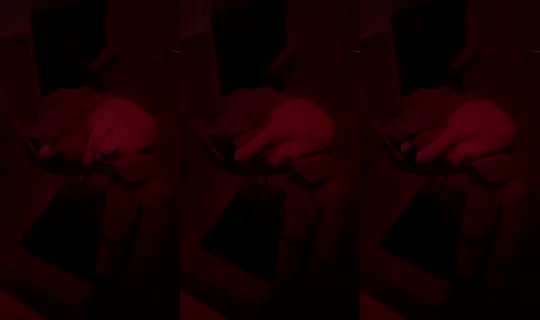 Stream ni Lia_alexandra - Hul 31, 2026, 4:29 PM