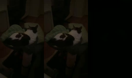 Lia_alexandra's Stream - Aug 4, 2026, 1:58 AM