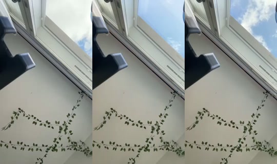 Lia_alexandra's Stream - Aug 7, 2026, 10:20 AM