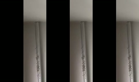 Lia_alexandra's Stream - Aug 19, 2026, 8:40 AM