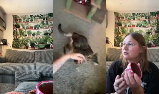 Mads_2491's Stream - Jul 23, 2026, 9:51 PM