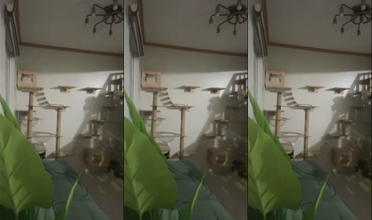 Mae1427's Stream - Aug 15, 2026, 10:32 AM
