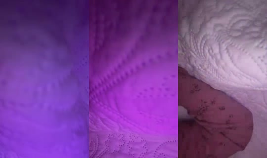 Megan1_1. Recorded on Oct 16, 2026, 3:06 AM