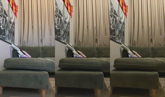 Noortje12 Recorded on Oct 13, 2026, 1:10 PM