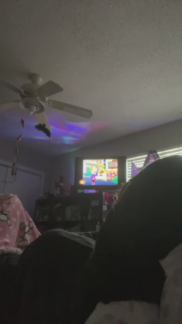 Scarycatspiderhat