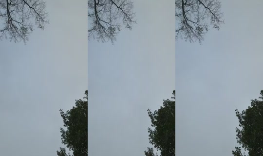 Stella3825's Stream - Oct 11, 2026, 10:18 PM