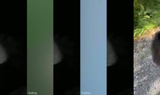 Syd_TheScienceKidDd's Stream - Sep 1, 2026, 3:54 AM