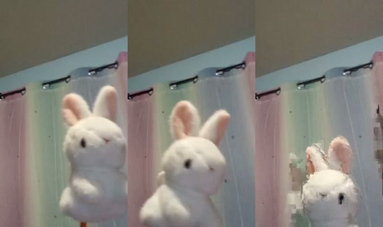 bunny2235's Stream - Jul 23, 2026, 2:50 AM