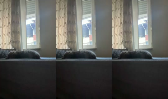Stream de catlady_ – 18 juil. 2026, 15:53