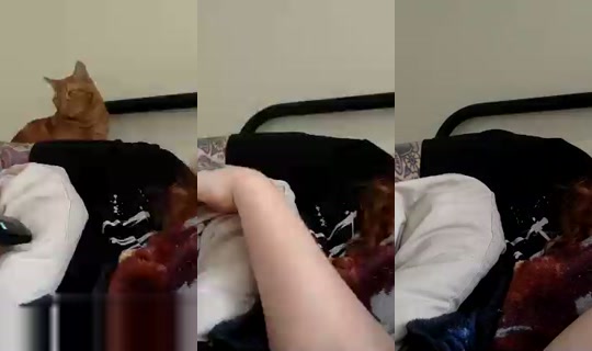 Stream davidbeccums - 19 Jul 2026, 22.35