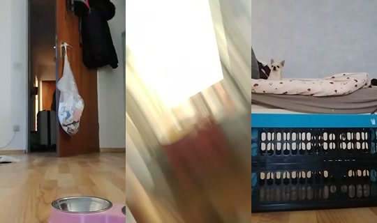 leonie_single Recorded on Oct 11, 2026, 4:37 PM