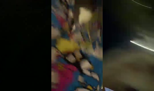 Stream de lexbby – 20 juil. 2026, 3:22