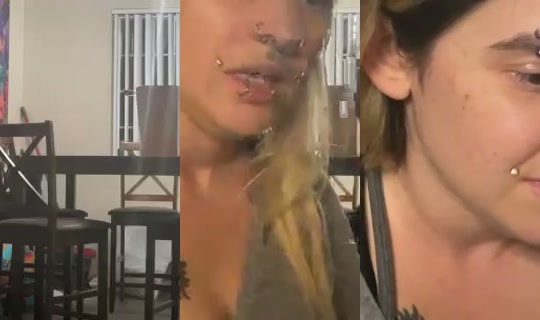 little_miss_kitten_'s Stream - Jul 28, 2026, 6:14 AM