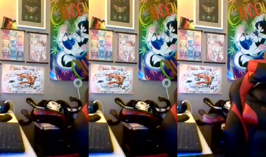 mama.weed.queen's Stream - Aug 10, 2026, 5:05 PM