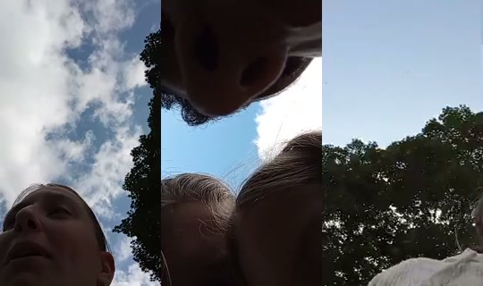 nala0348's Stream - Jul 24, 2026, 3:56 PM