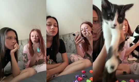 rox....y's Stream - Jul 13, 2026, 7:43 PM