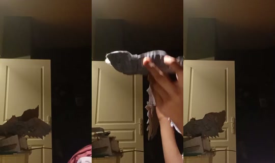 sharkythesharkcat.'s Stream - Sep 22, 2026, 7:09 PM