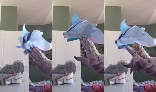 sharkythesharkcat. Gravado em 23 de set. de 2026, 7:41