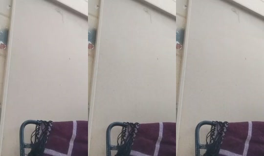shesbackk's Stream - Oct 21, 2026, 10:26 PM