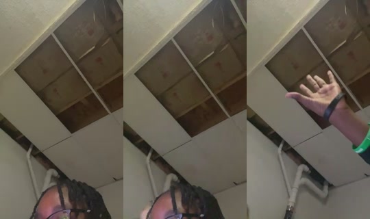 thegoatisherr58494949's Stream - Oct 17, 2026, 4:11 AM