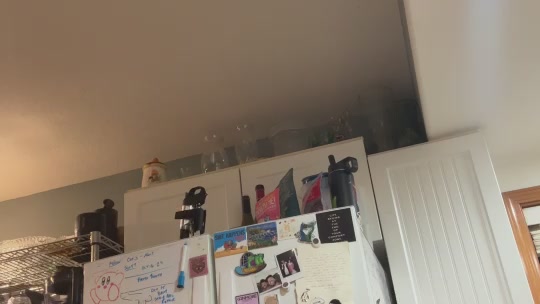 tree_suh420