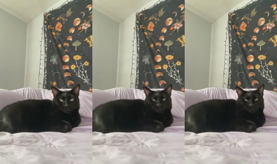 xxprincesspeachxx's Stream - Sep 20, 2026, 11:19 PM