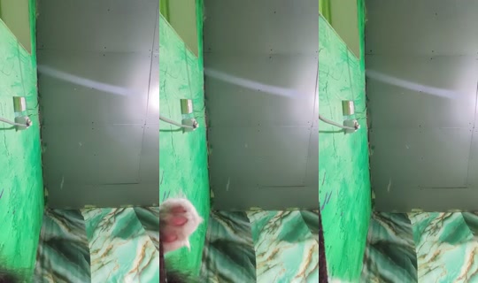 ЗояБадакова-в5ф Grabado el 17 jul 2026, 14:36