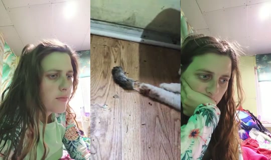 ЗояБадакова-в5ф's Stream - Aug 3, 2026, 1:59 PM