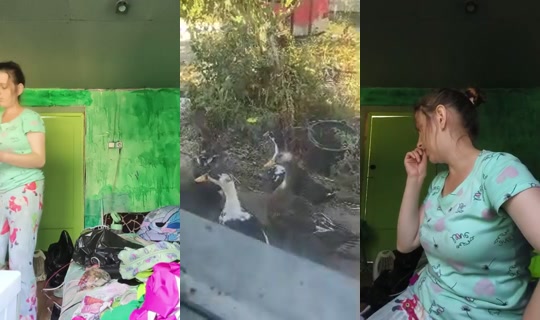 Stream ni ЗояБадакова-в5ф - Ago 24, 2026, 8:59 AM