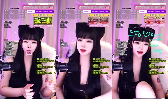 로즈대장-m5x's Stream - Aug 28, 2026, 12:00 PM