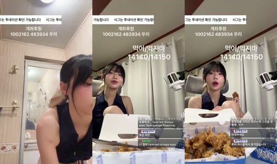 루비레이블_나비's Stream - Jul 31, 2026, 5:24 PM