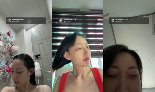 새로미-l7t's Stream - Jul 24, 2026, 8:04 AM