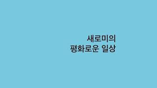 새로미-l7t