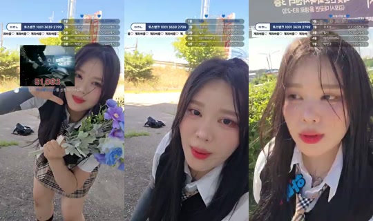 아기하마_소라's Stream - Jul 13, 2026, 6:01 AM