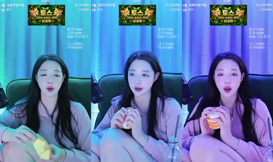 어흥_김설화's Stream - Aug 5, 2026, 3:06 PM