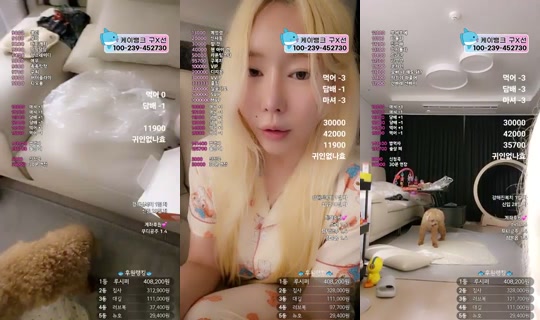 9복치 Registrato il 9 lug 2026, 13:49