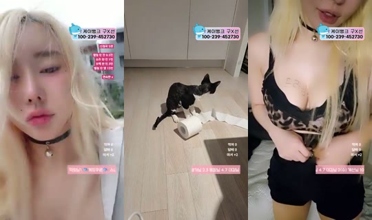 9복치's Stream - Sep 8, 2026, 9:19 PM