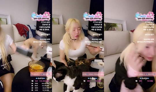 9복치's Stream - Oct 5, 2026, 3:51 PM