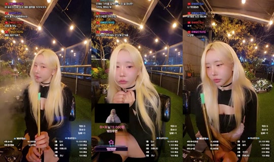 9복치's Stream - Oct 14, 2026, 3:29 PM