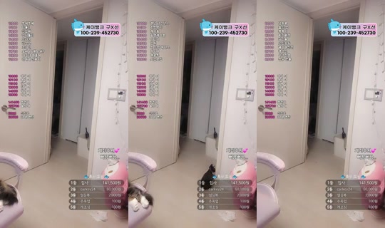 9복치's Stream - Jul 19, 2026, 7:25 PM