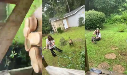 Coyotegirl777's Stream - Aug 5, 2026, 6:54 PM